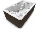 Swimspa fitness