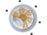 SGPC_2 