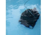 lynxecopool_7 
