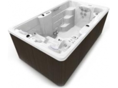 Swimspa fitness